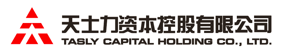 DS视讯资本控股有限公司